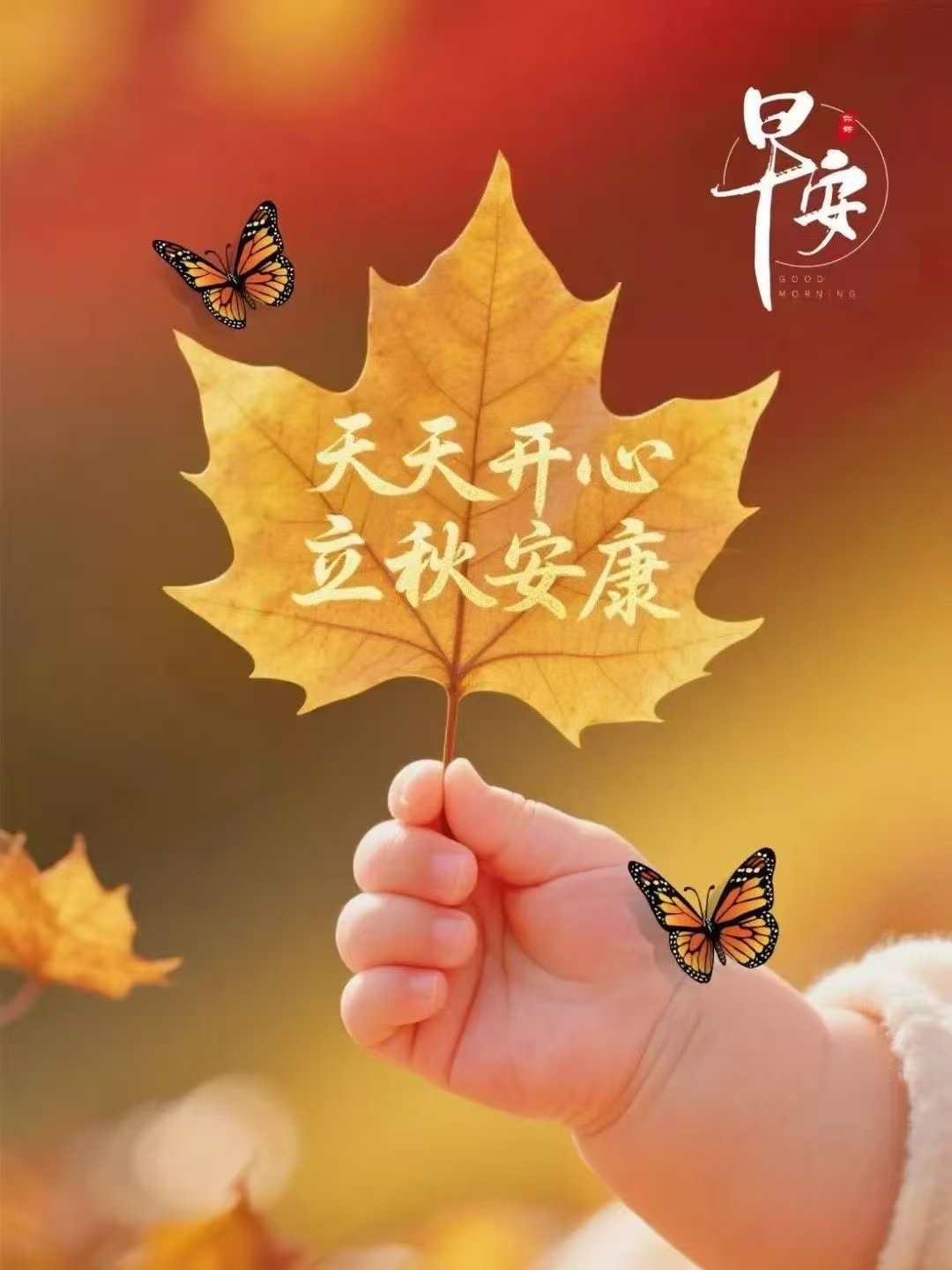 立秋安康